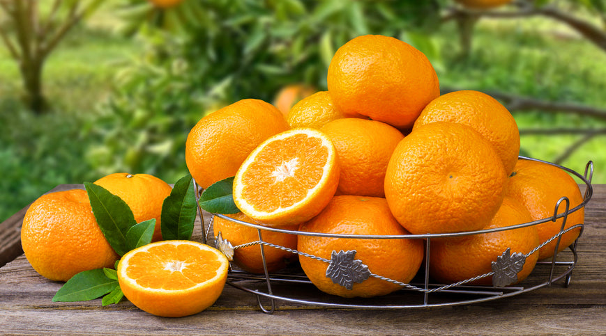 Orange Blossom