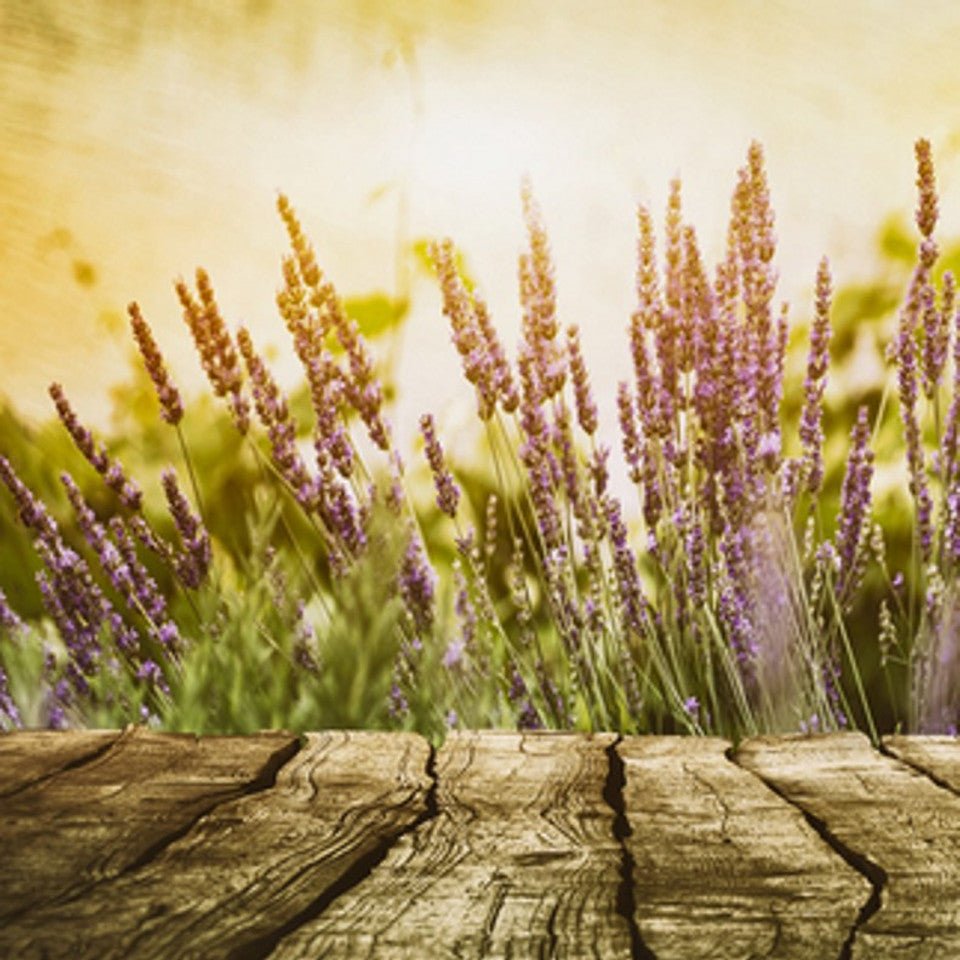 Lavender and Cedar - Blue Serene Candles