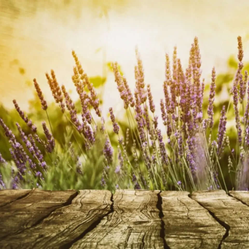 Lavender and Cedar - Blue Serene Candles