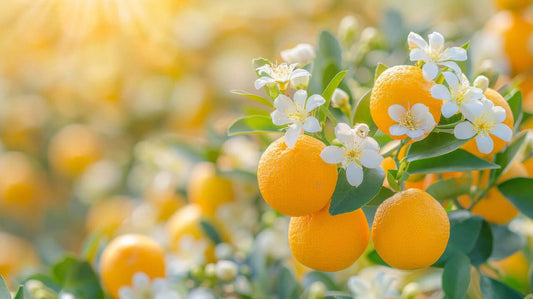 Self - Love ; I am Worthy Candle - Blue Serene Candles