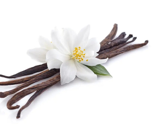 Vanilla Swirl Candle - Blue Serene Candles