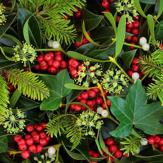 Mistletoe holiday scent inspiration