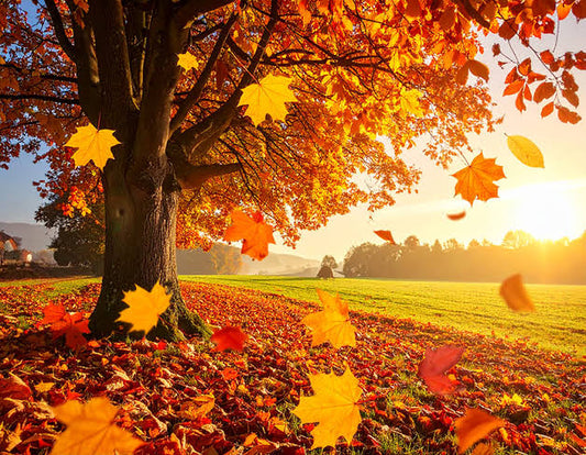 Fallen Leaves autumn foliage scent inspiration