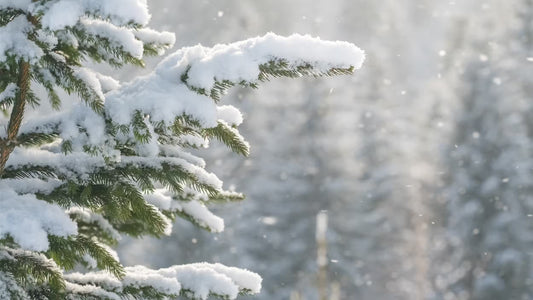 Alpine Frost snowy winter scent inspiration